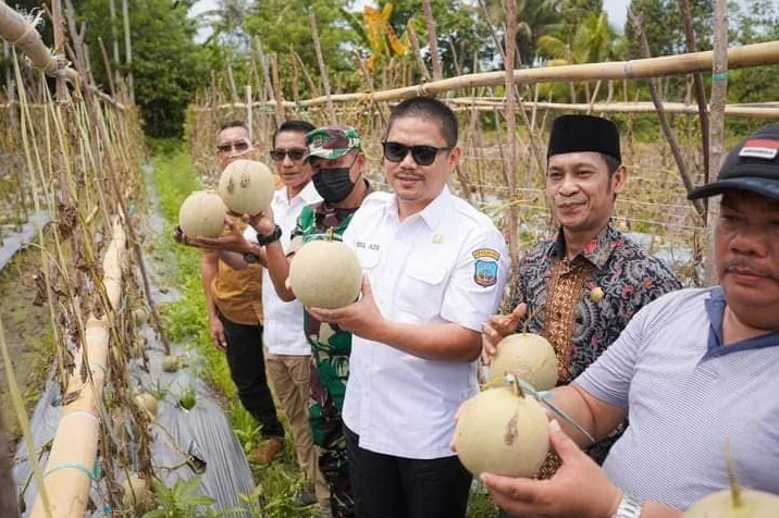 Bupati Koltim Panen Melon Bersama Poktan di Desa Lalowura