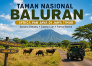 Baluran Situbondo, Wisata Alam Eksotis dengan Nuansa Afrika