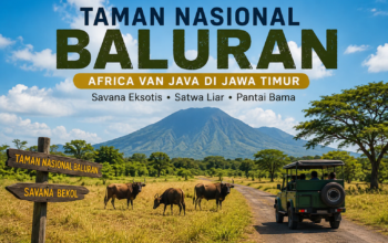 Baluran Situbondo, Wisata Alam Eksotis dengan Nuansa Afrika