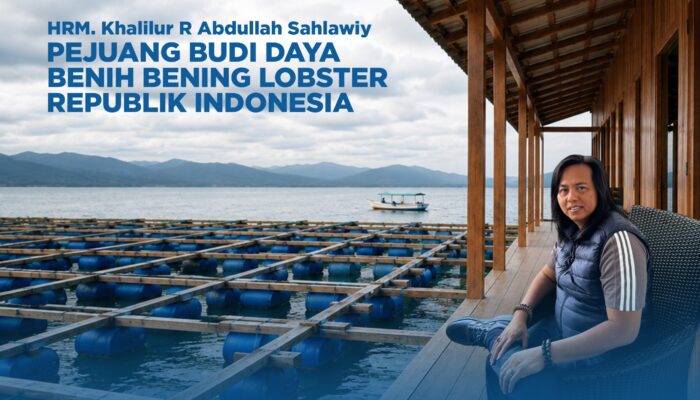 Gus Lilur Jajaki Kontrak Batu Bara 20 Juta Ton ke Vietnam, Dorong Kemitraan Budi Daya Lobster